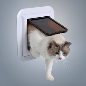 Trixie 4-Way Cat Flap XL Especially For Glass