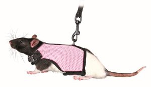 Trixie Harness with Lead Rats- Σαμαράκι με λουρί για Ποντίκια