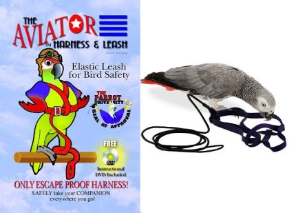Aviator Bird Harness Petite - Xsmall - Small