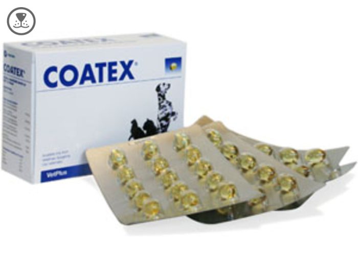 Coatex 60 Κάψουλες