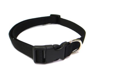 Pet Interest Plain Line Collar - Κολάρο Σκύλου Μαύρο
